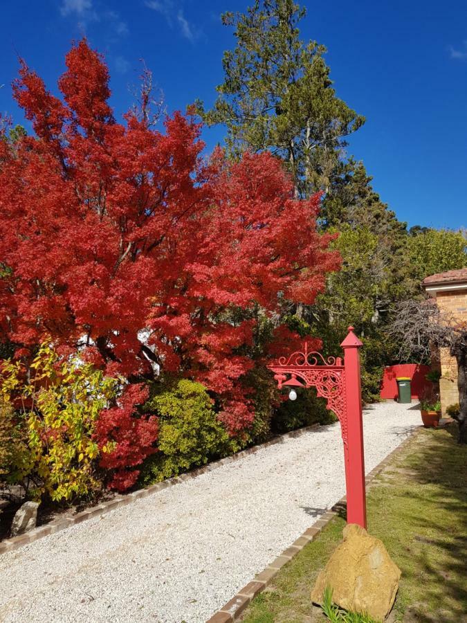 קטומבה Winston Cottage At Three Sisters מראה חיצוני תמונה